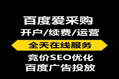 顶级SEM运营公司案例分析